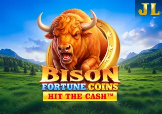 Bison Fortune Coins