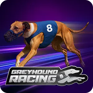Virtual 8 Greyhounds
